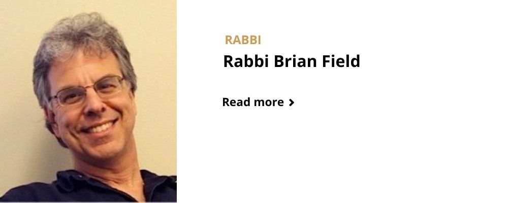 Rabbi Brian Feld